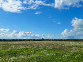 Schleswig Holstein Landschaft