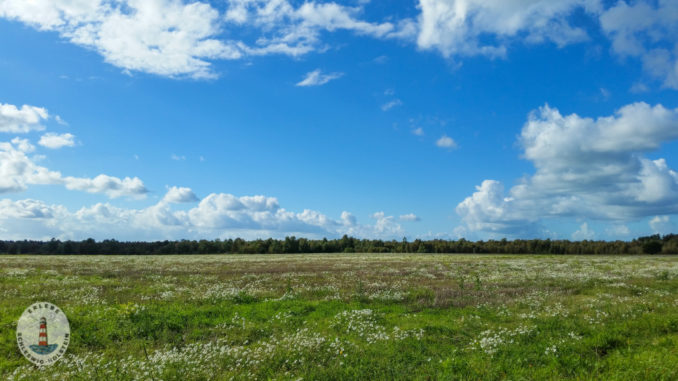 Schleswig Holstein Landschaft