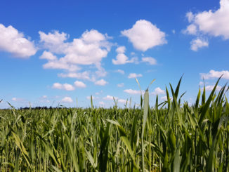 Schleswig Holstein Landschaft