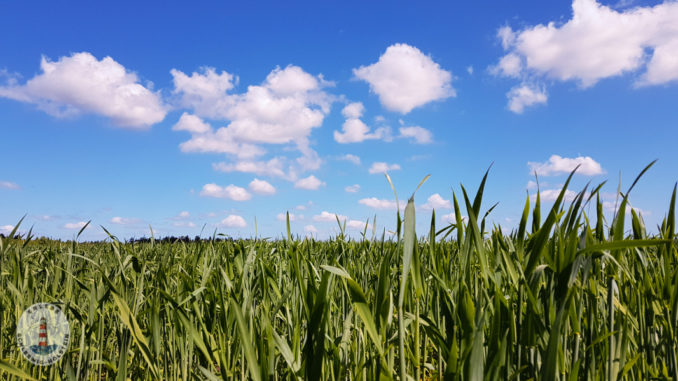 Schleswig Holstein Landschaft