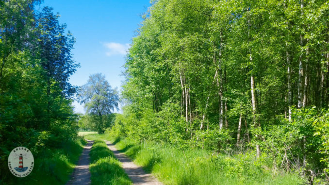 Orte allgemein-7 Schleswig Holstein Landschaft