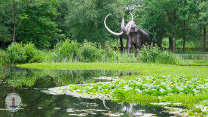 Riesentiere im Freizeitpark Tolk-Schau