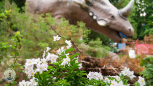 Dinosaurier im Freizeitpark Tolk-Schau