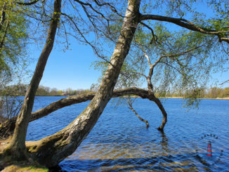 Aussicht und Wandern am Bokeler See, Mühlensee