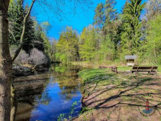 Wanderweg Mönkloh Waldlehrpfad Hasselbusch Waldsee