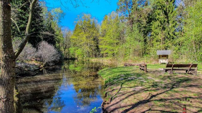 Wanderweg Mönkloh Waldlehrpfad -10 Wanderweg Mönkloh Waldlehrpfad Hasselbusch Waldsee