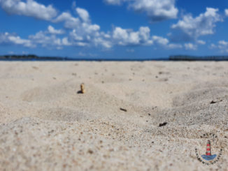 Eckernförde Strand - Hauptstrand